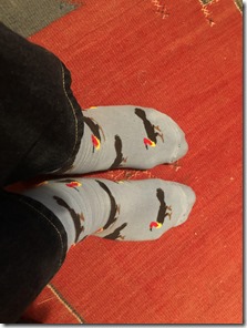 megapode socks